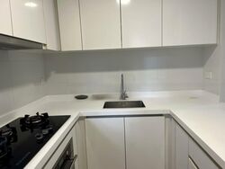 Skypark Residences (D27), Condominium #480808751